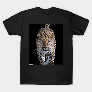 super jaguar more well knowing " Onça' pintada do Brasil 🇧🇷 " T-Shirt